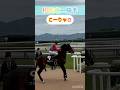 笑いと気合いが溢れて楽しそうな本馬場入場 Shorts Short 和田竜二 古川吉洋 藤岡佑介