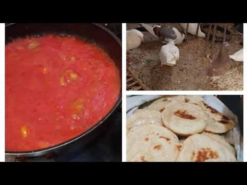 يوم طبيعي فيه كذه فكره هتعجبك طاقه ايجابيه مع صفاء