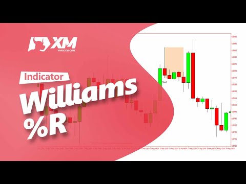 Cara Menggunakan Indikator Williams' Percent Range (Williams %R) dalam Trading FOREX