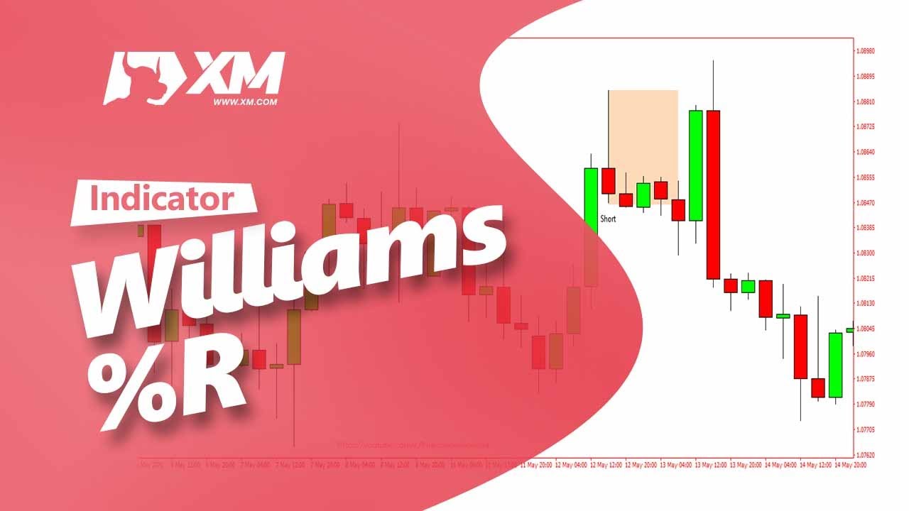 Indikator Williams %R