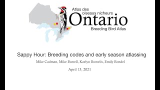 Sappy Hour - Breeding Evidence & Early Season Atlassing (2021-04-13)