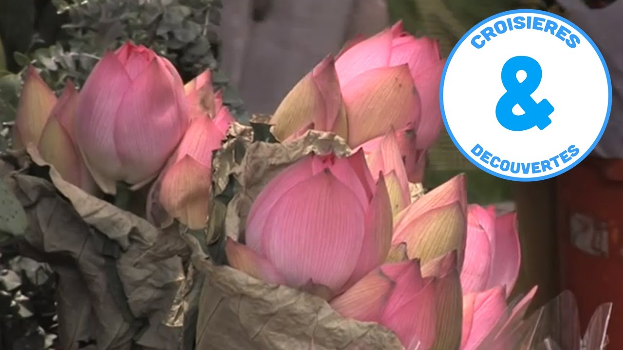 Marchés traditionnels de Hong Kong - Chine - Fenêtres sur le Monde - Documentaires - Découverte