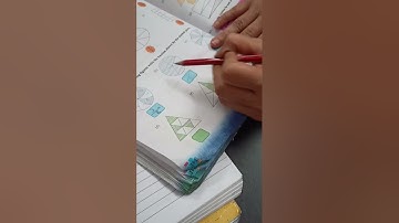 class 3  composite mathematics chapter 10 fractions all exercises explained