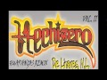Hechizero De Linares - Huapangos Remix Vol 2