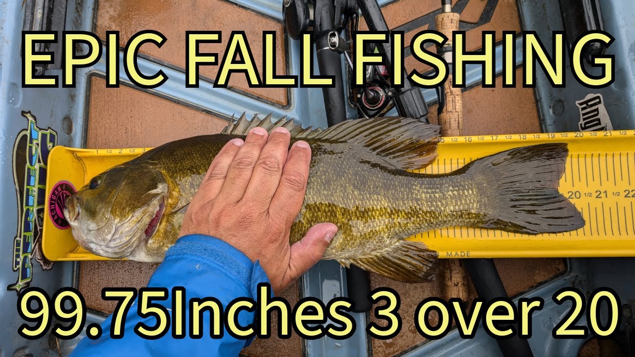 EPIC FALL FISHING 99 75 inches of River Smallmouth 3 over 20 - YouTube