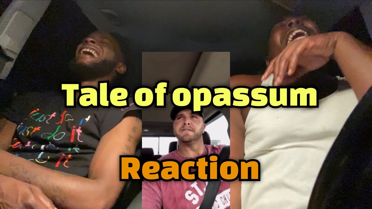 Зак Рашинг — История опоссума (Реакция)