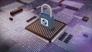 Cyber Security Stock Motion Graphics