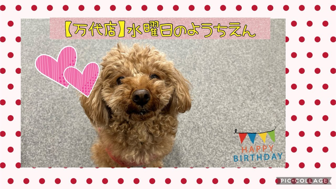 万代店】 水曜日の❤️ようちえん❤️ - YouTube
