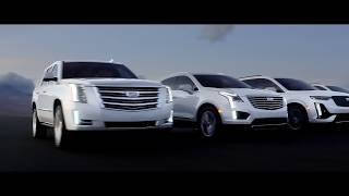 Athlete Statistics Herb Chambers Cadillac of Warwick - Visit Us Today!