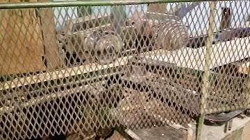 Ward Cedar Log Homes - Milling Log Siding