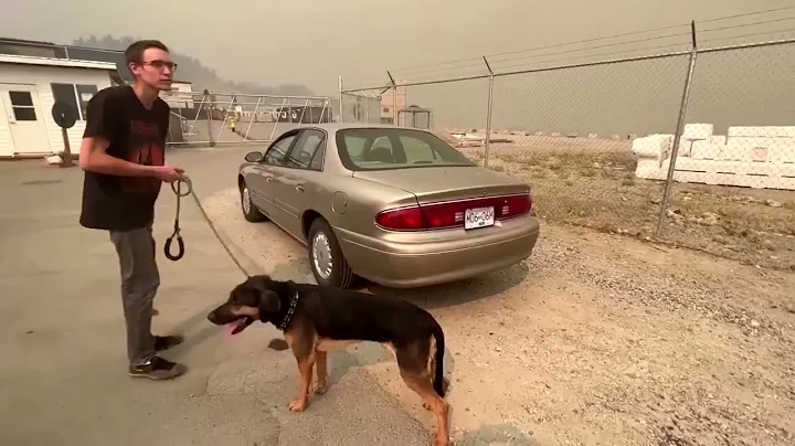 Canada's British Columbia on high alert as wildfires rage