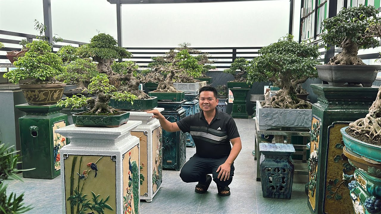 Không gian chơi cây trên mái NV em Bách tại Phủ Lý Ninh Bình(Hà Nam) chia sẻ Quý vị | Quảng Tùng