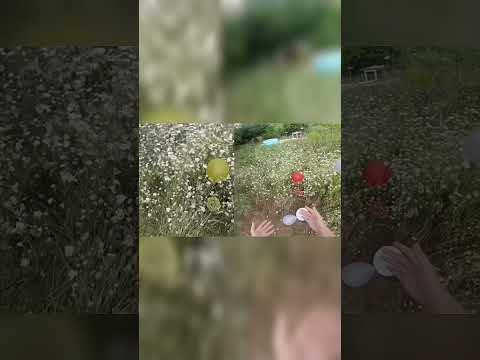 Как Видят Дальтоники?!😳 #shorts #глаза