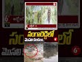 Sangareddy : సంగారెడ్డిలో మొసలి కలకలం.. #Sangareddy #Crocodile #TelanganaNews #Wildlife #ViralNews