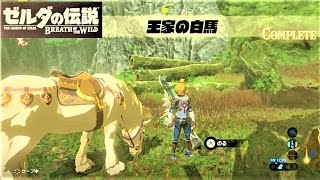 王家の白馬 ミニチャレンジ 平原外れの馬宿 攻略 ゼルダの伝説 ブレスオブザワイルド The Royal White Stallion Breath Of The Wild Youtube