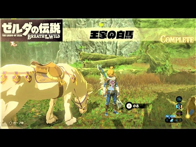 王家の白馬 ミニチャレンジ 平原外れの馬宿 攻略 ゼルダの伝説 ブレスオブザワイルド The Royal White Stallion Breath Of The Wild Youtube