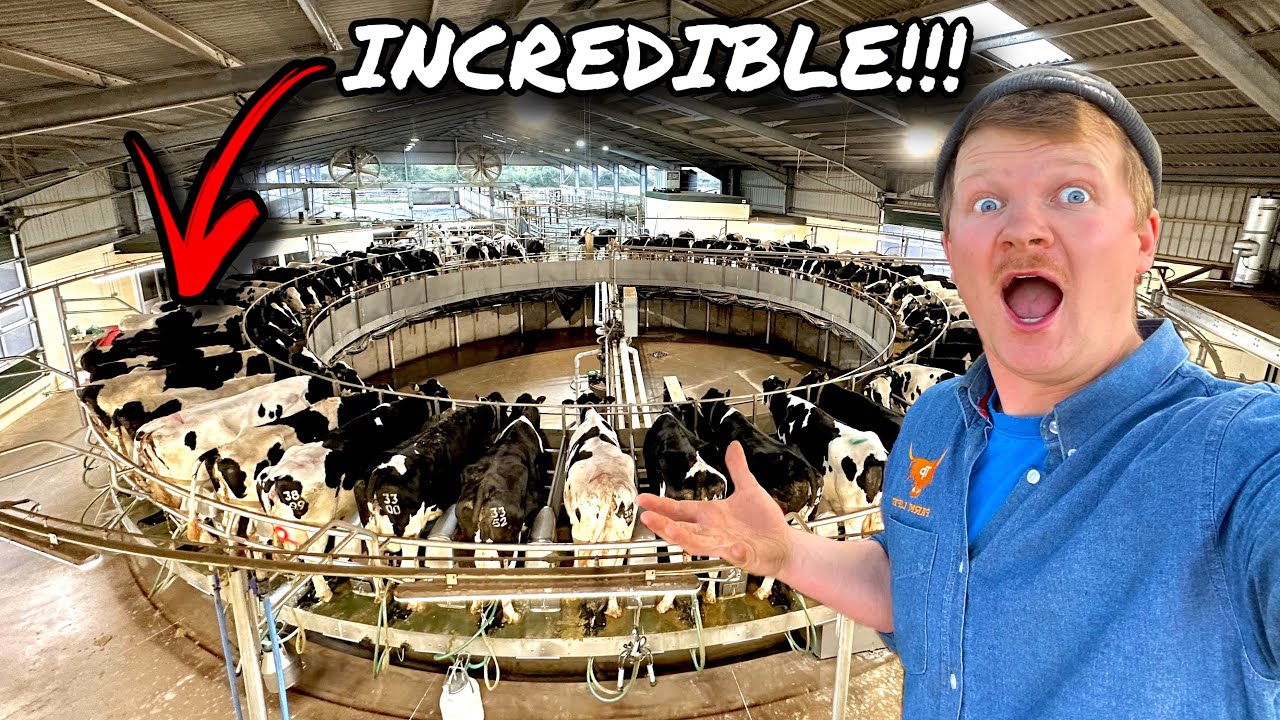 IS THIS THE BEST FARM I HAVE EVER BEEN TO!? - YouTube