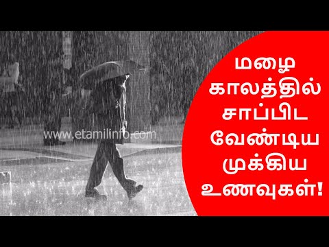 மழைக்காலத்தில்-சாப்பிட-வேண்டிய-முக்கிய-உணவுகள்!-|-rainy-season-diet-plan