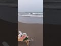 قلبه معي وقلبي معه حب وغلا متقاسمين قلبه معي وقلبي معه حب وغلا متقاسمين