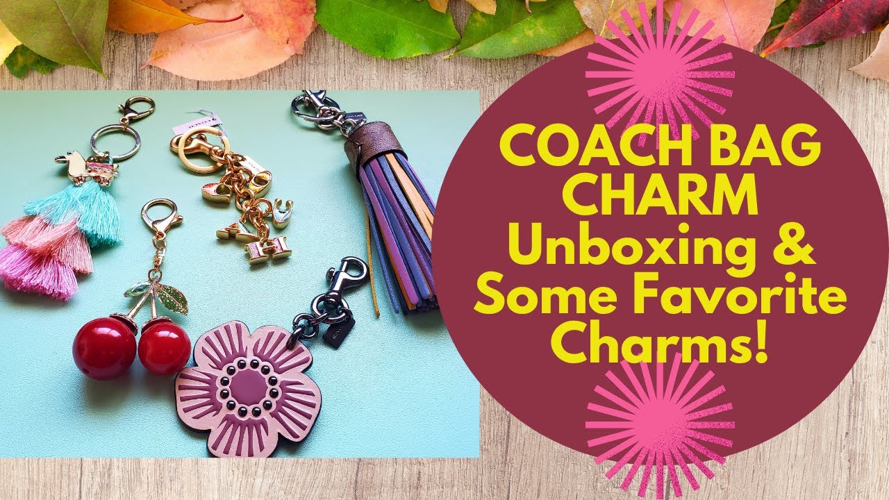 Leather bag charm Coach Brown in Leather - 26184175