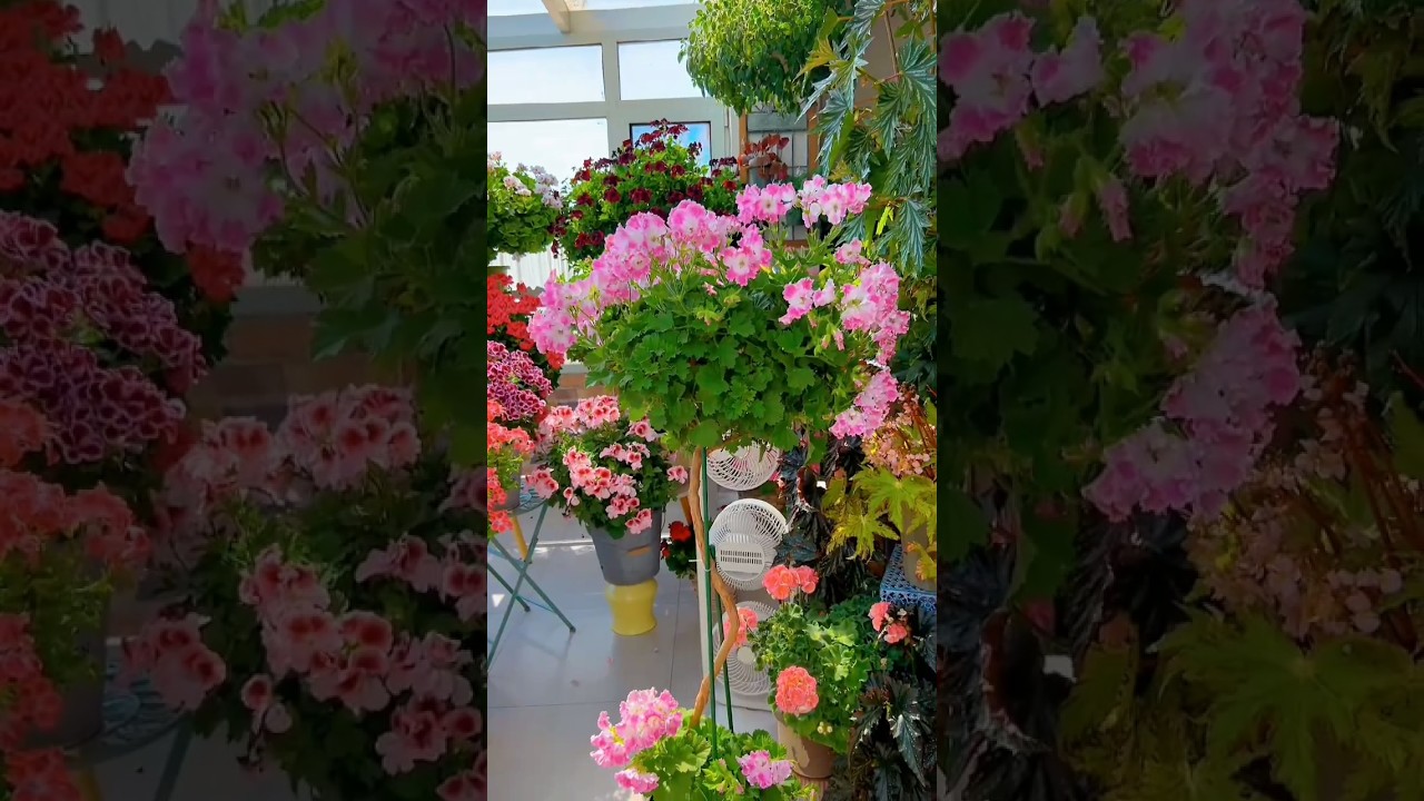 Stunning Home Garden Decor  You'll Get Surprised 🌸🌱😲