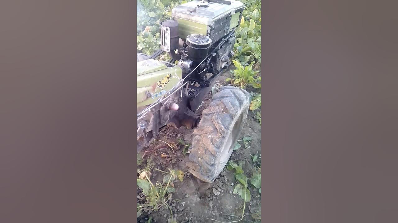 Мотоблок дымит. Мотоблок дымит белым дымом причина. Мотоблок дымит. Мотоблок мб-2 дымит. Задымил культиватор белым дымом.