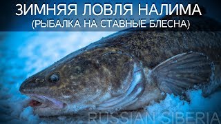 Охота и рыбалка в Сибири. Ловля налима на блесну