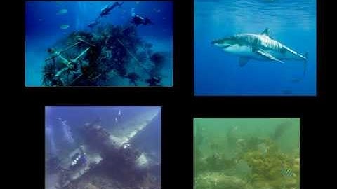 Enhancing underwater images and videos by fusion- IEEE CVPR 2012