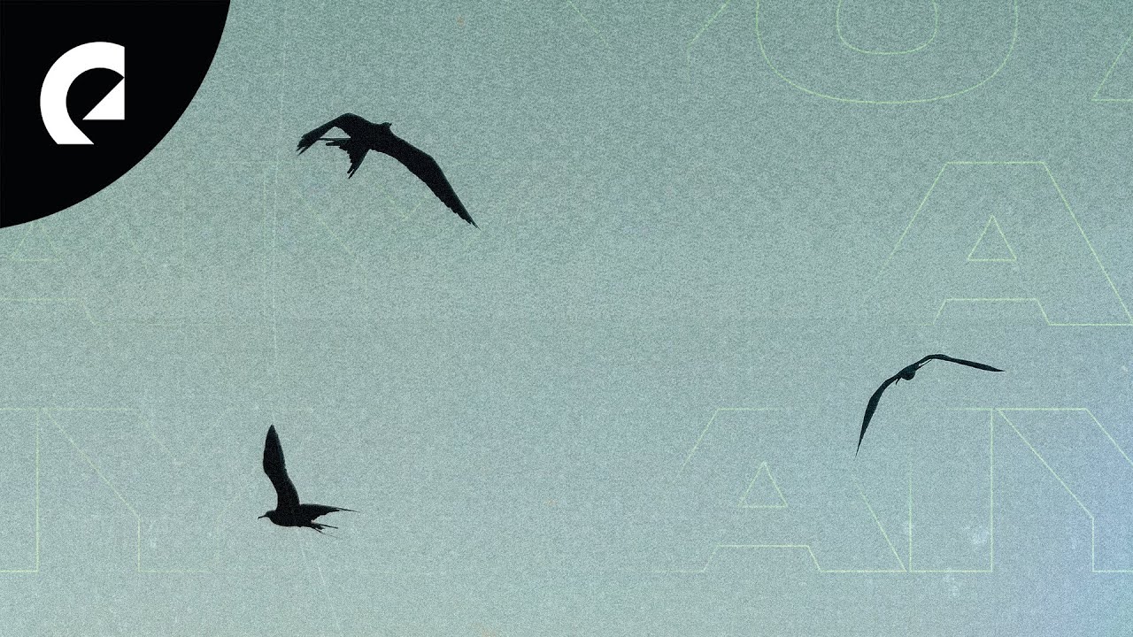 Watch Aiyo - Diluted on YouTube Watch Aiyo - Diluted on YouTube