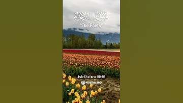 Surah Ash Shu'ara 90-91 Hindi - Urdu Audio translation | سورة الشعراء