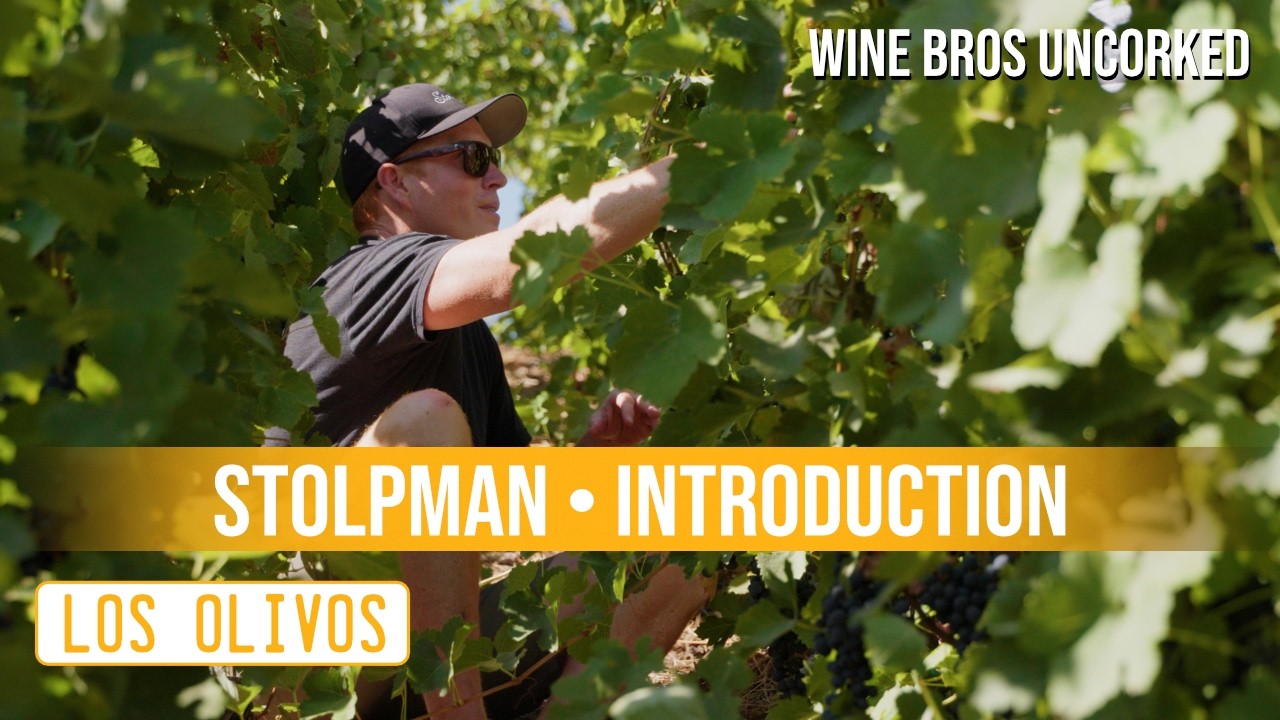 🍾 Chapter 1: Stolpman | One Vine, Three Generations, a Lifetime of Commitment | Wine Bros Uncorked