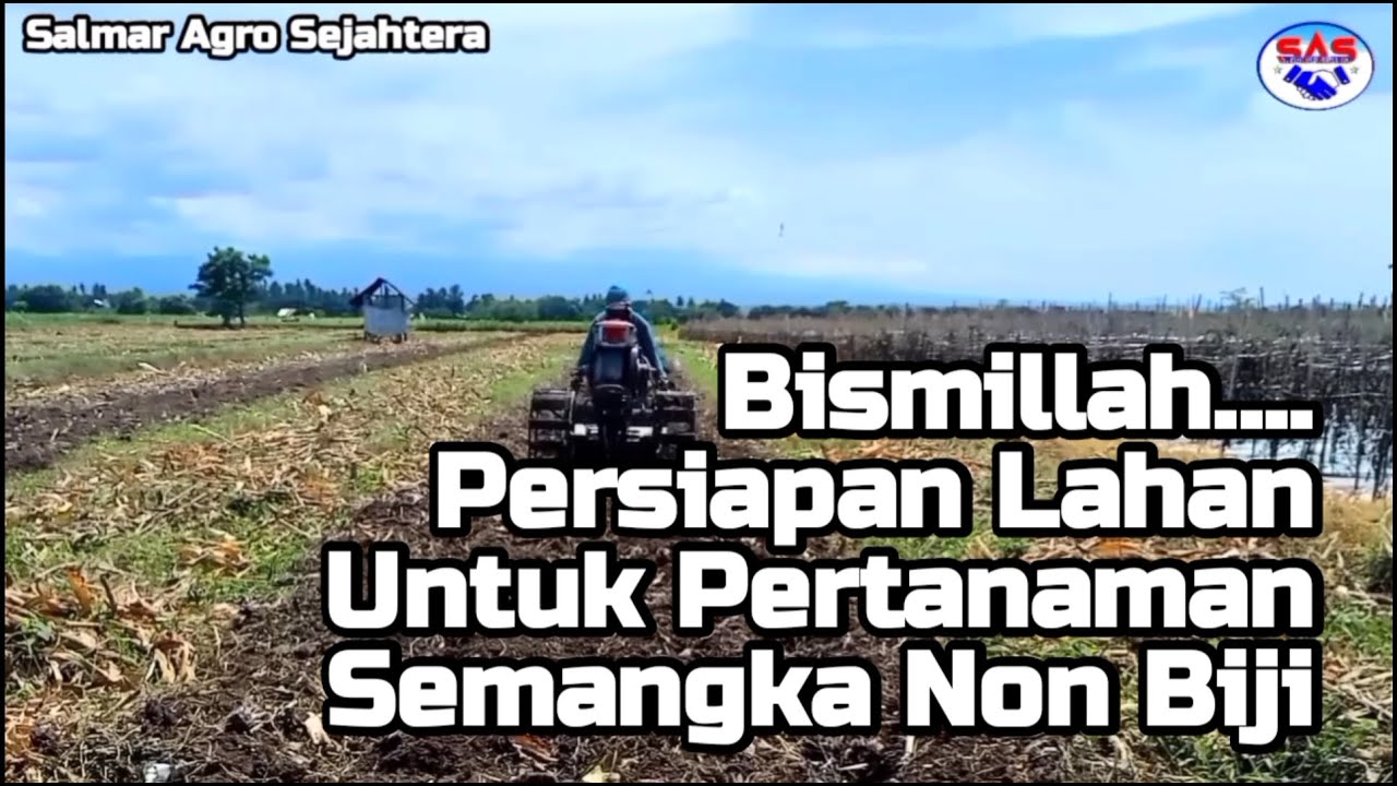 #01 PERSIAPAN LAHAN SEMANGKA