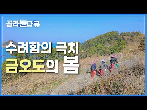 매화꽃처럼 붉게 피어난 <strong>봄</strong> 숭어 회 + 갓 수확한 방풍나물의 조합 | 입 안가득 봄의 풍미를 자랑하는 금오도의 <strong>봄</strong> 제철 <strong>음식</strong> | 한국기행 | #골라듄다큐