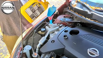 How Fill Antifreeze ANY Nissan Car (Coolant Reservoir Location Sentra Altima Versa Pathfinder Maxima