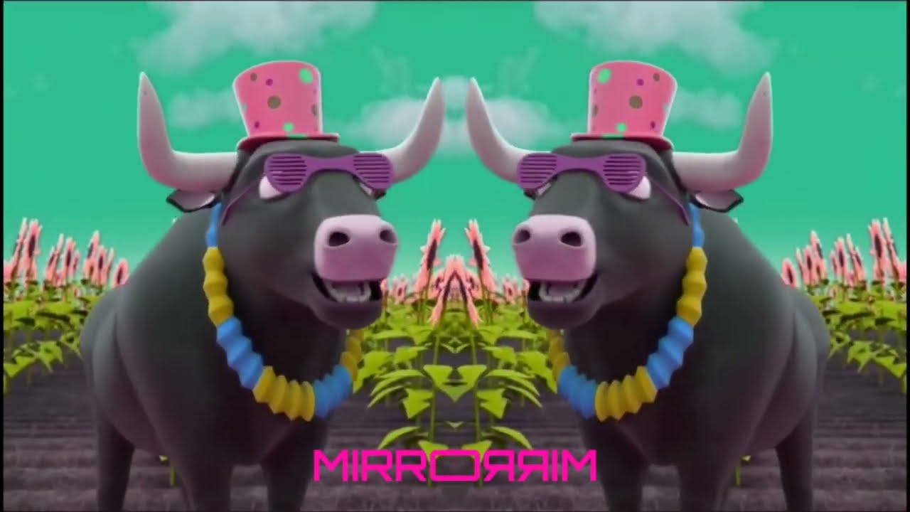 📸🐔 1️⃣2️⃣3️⃣ ¡Sonríe! Bartolito el Fotógrafo 😄 en La Granja de Zenón 🌾 | Canción Infantil 🎶✨