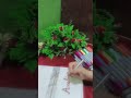 Anabiya name calligraphy #calligraphy #ytshorts #art #comment #love #english #ajmalrazaqadri #kashu