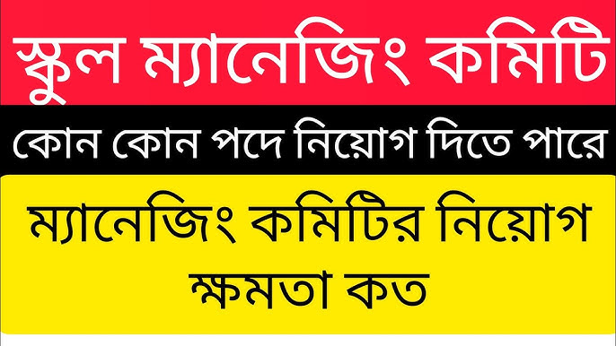 Katta teshiklar mushuk fotosuratlar