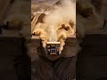 "Dump Truck’s Final Seconds Before the Cliff" A massive dump truck #shortvideo #shortsfeed #top10