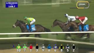 R6/:William Buick/Master Of Te Seas /Age5  / T .C Appleby @MEYDAN 2810m screenshot 3