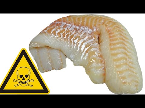 😡 Swai Fish! 5 Very Dangerous Reasons to Avoid it 😡