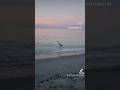 #Sunsets #Forest #walks #Campfire #Chillin #Beachy #Vibes Enjoy These Happy Views