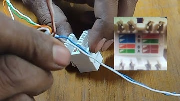 D-Link i/o box and keystone jack installation color code