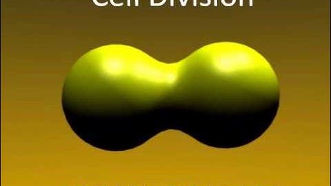 MUST WATCH!!! 3d Animated Cell Division using Blender!!