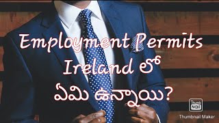 Employment permits in Ireland In Telugu | Ireland work permits in telugu #Ireland work visa screenshot 2