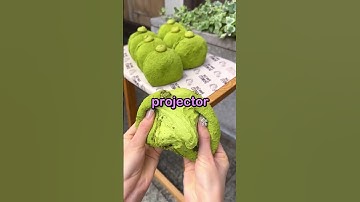 De projector-maas in de wet 📽️🧠