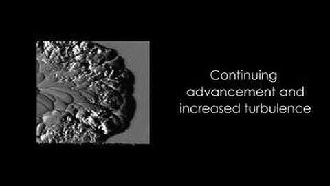 Structure and Dynamics of a Deflagrated Flame Evolution