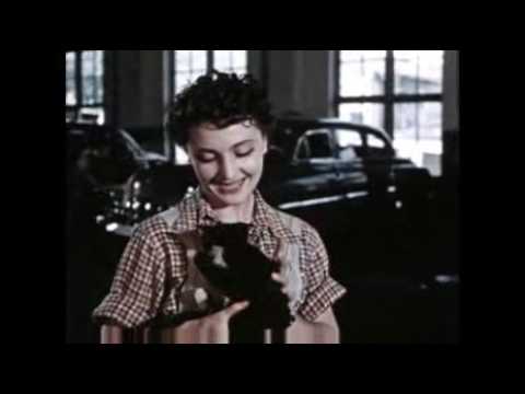 Лейла Абашидзе Заноза ლეილა აბაშიძე Leila Abashidze