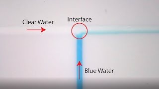 Visual Reservoir - Episode Five: Self-Diffusion of Water into Water