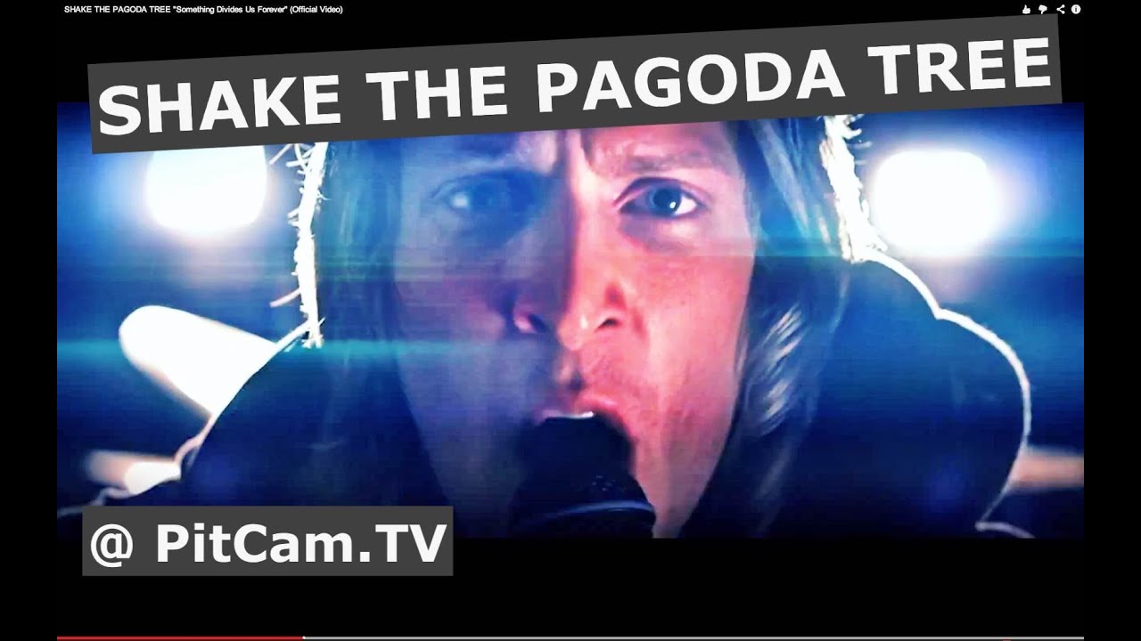 SHAKE THE PAGODA TREE "Something Divides Us Forever" (Official Video)