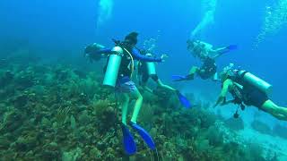 Eagle Ray Pass and Blue Peter Reef Grand Cayman